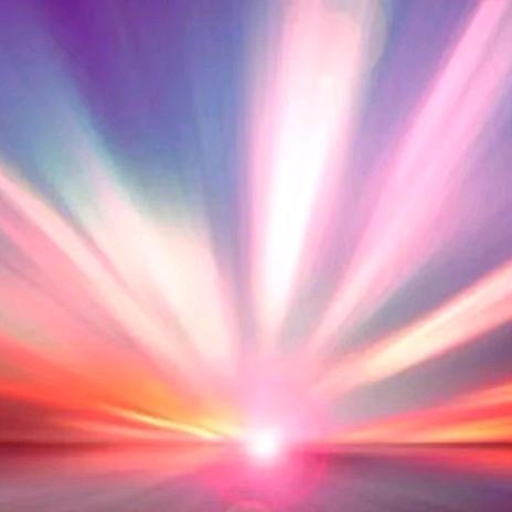 高维光333  金谷源