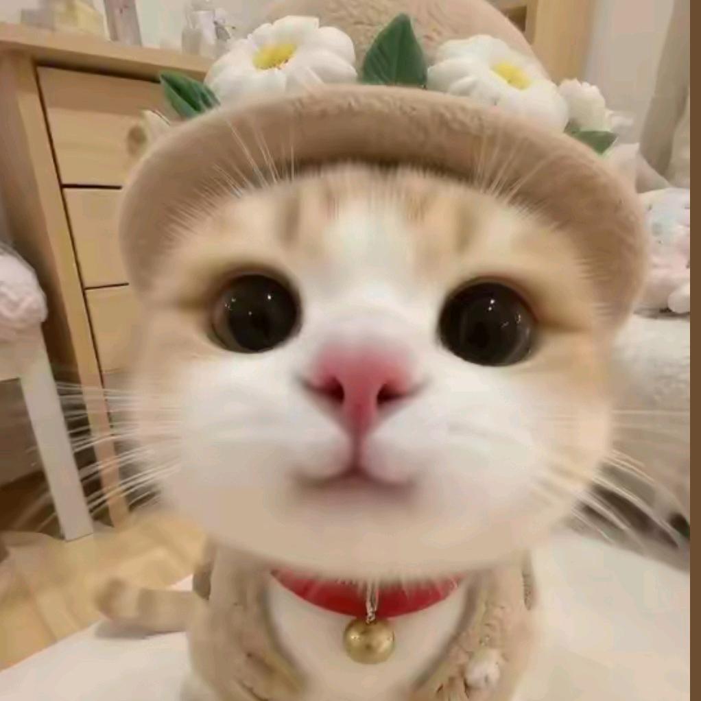 轻舟已过万重山✌