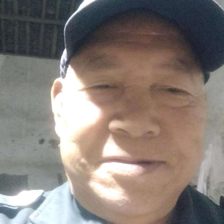 周国树