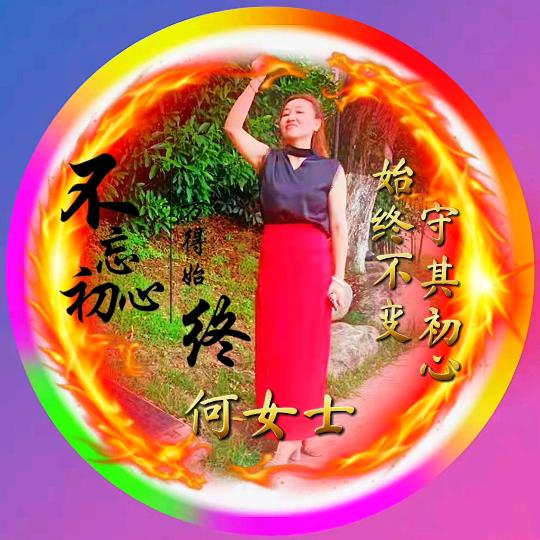 自由飞翔