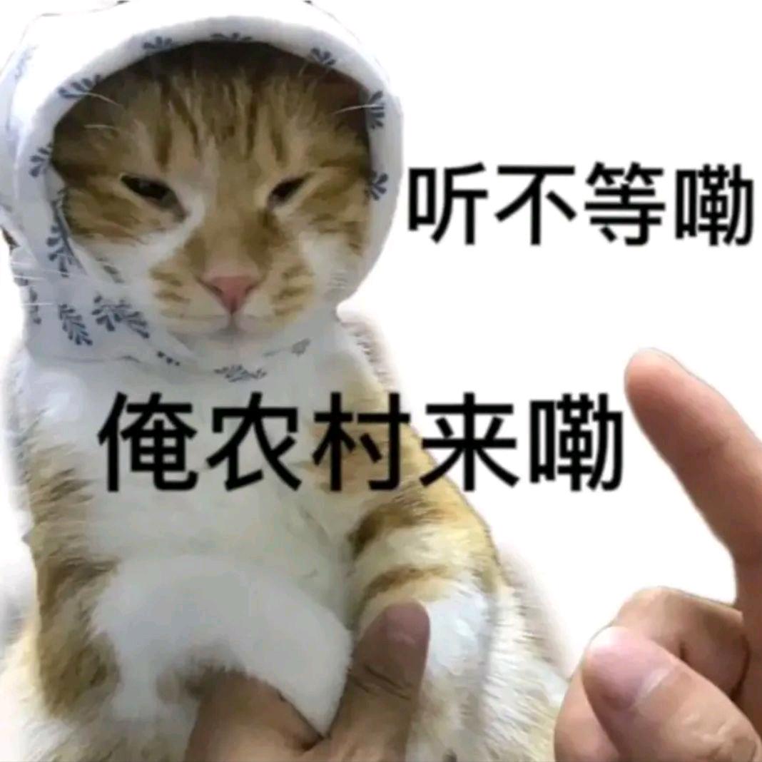 一锅778（约毛请看主页简介）