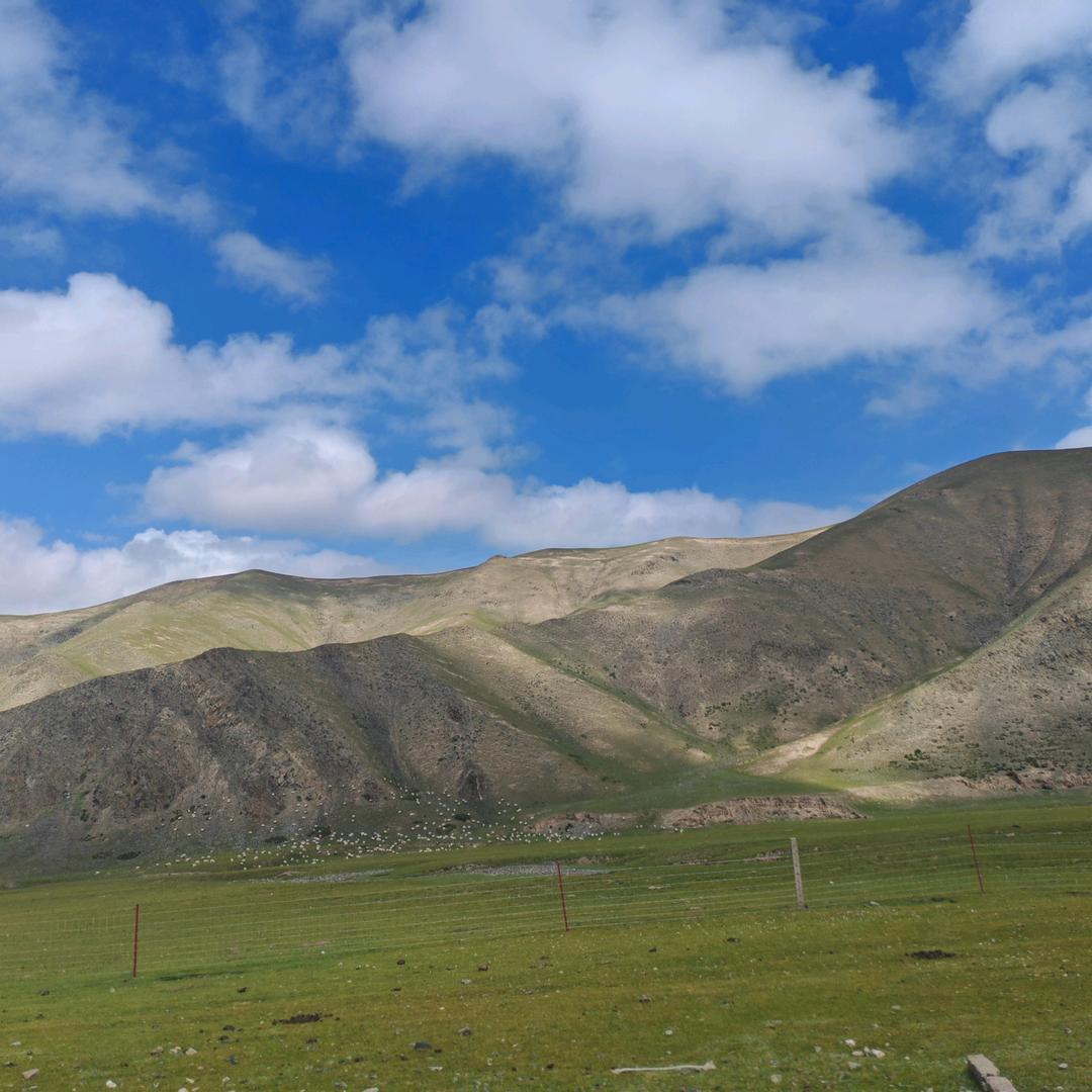 佰草圃头疗养生🐭