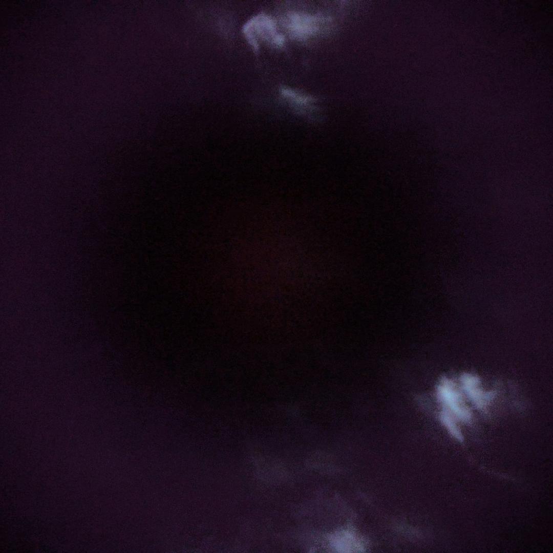 9@9@@99????????9@@99