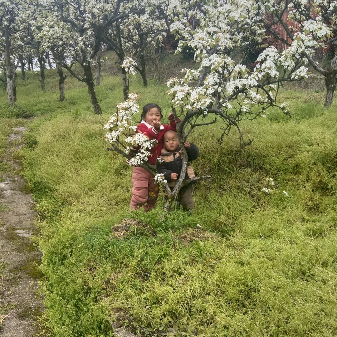 不再是以前无忧无虑的自己