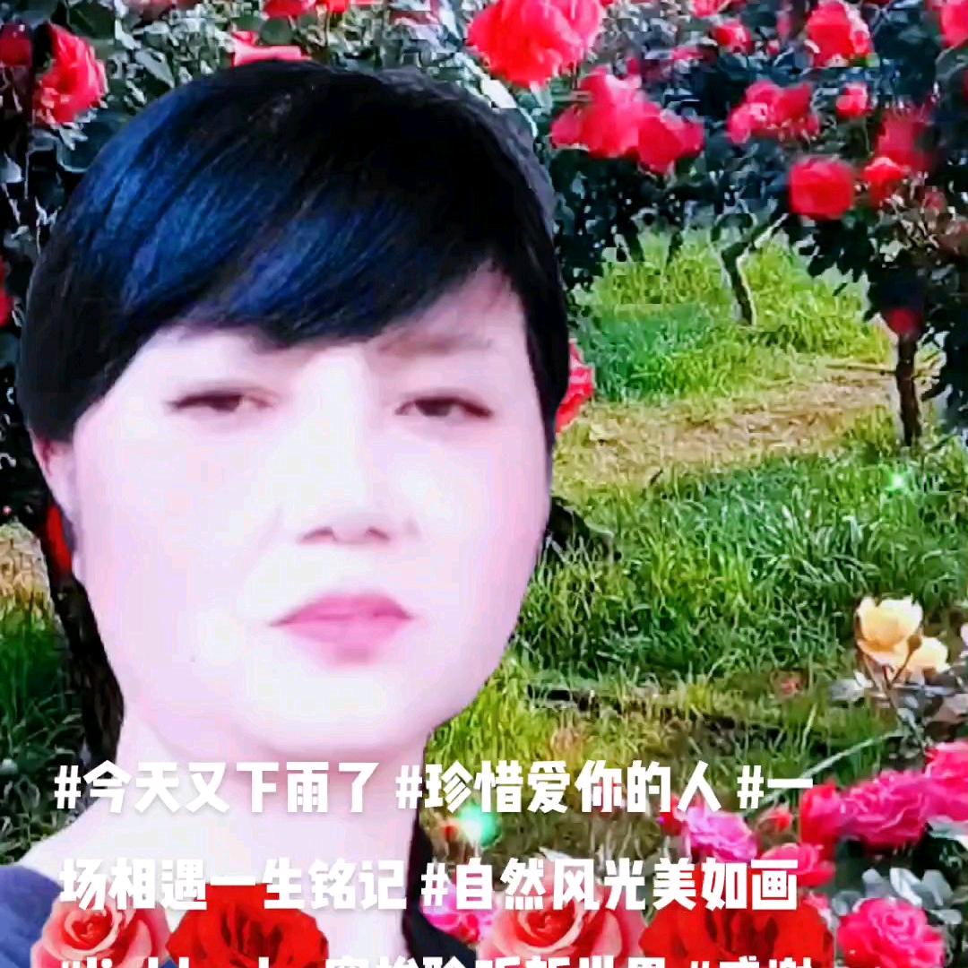 杨梅