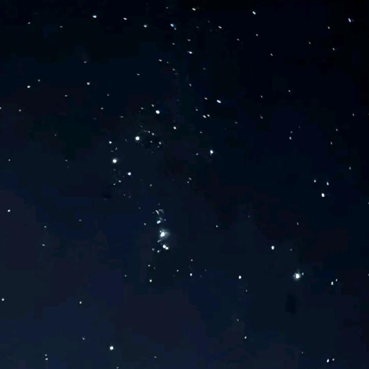 俺也一样