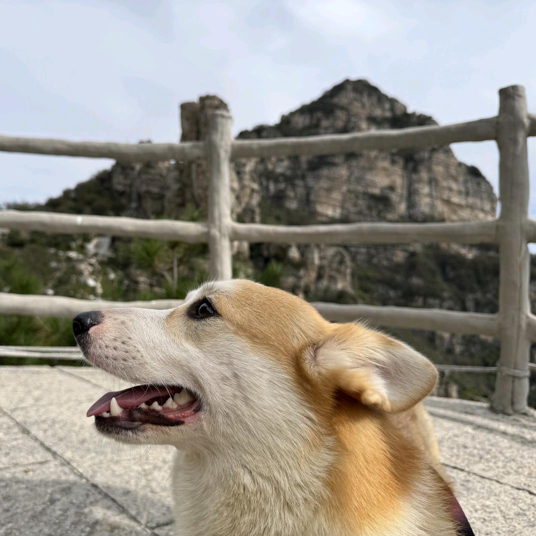 文弱书生