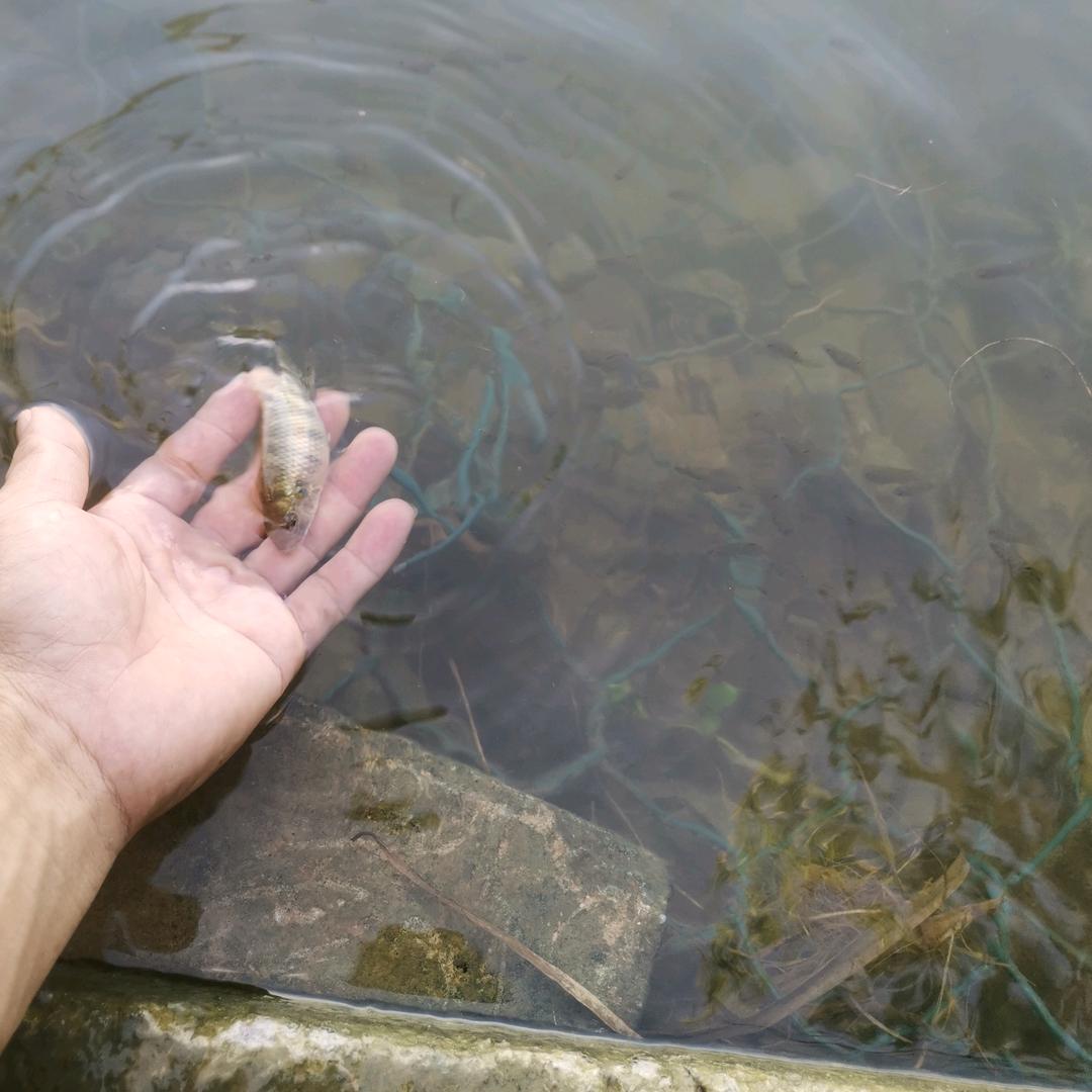👻地狱僵尸👻