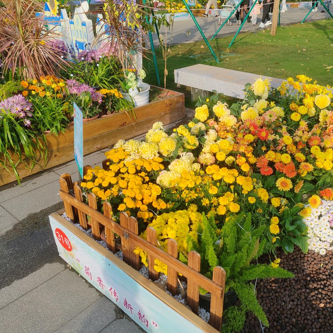 左岸咖啡☕️☕️