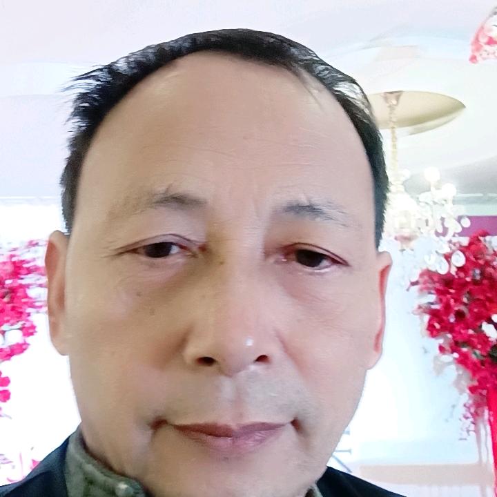 老谭金弹子老桩