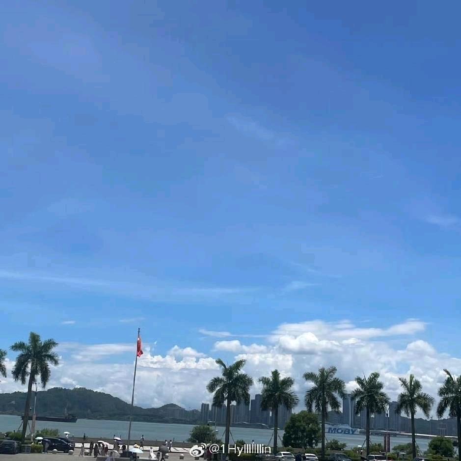 田