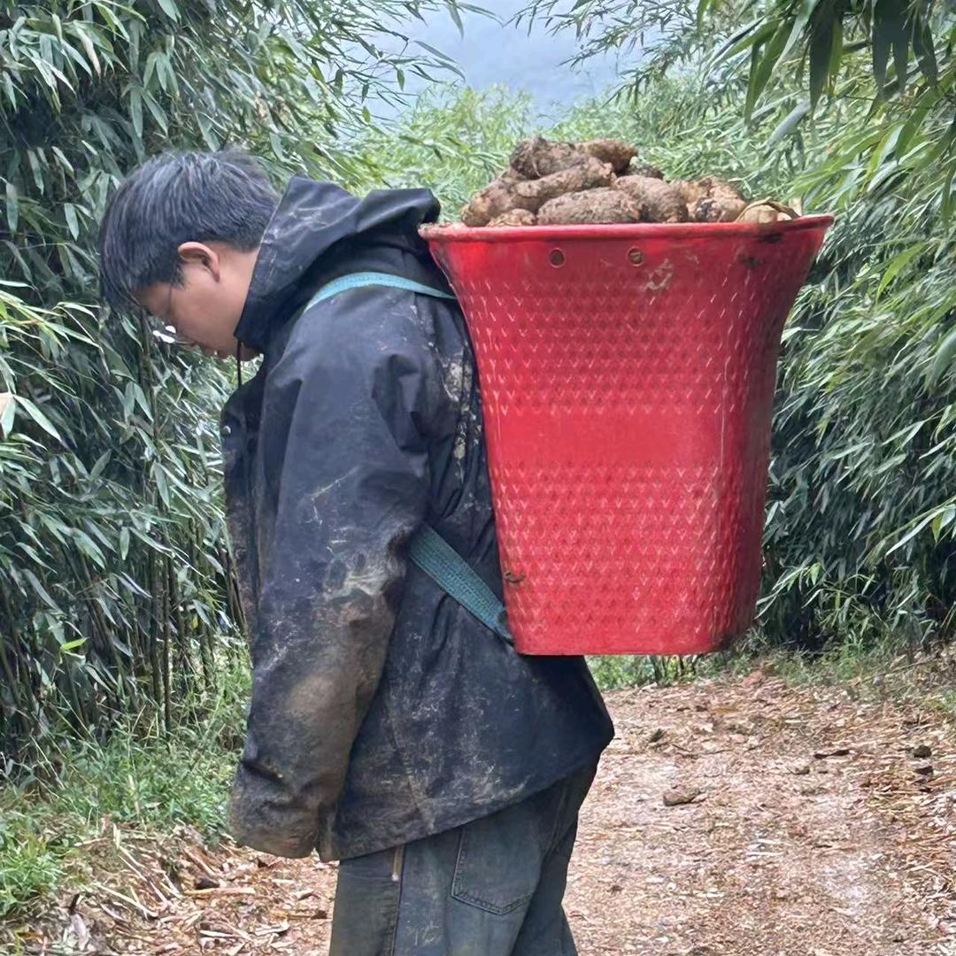 滇之乌蒙小草坝天麻店