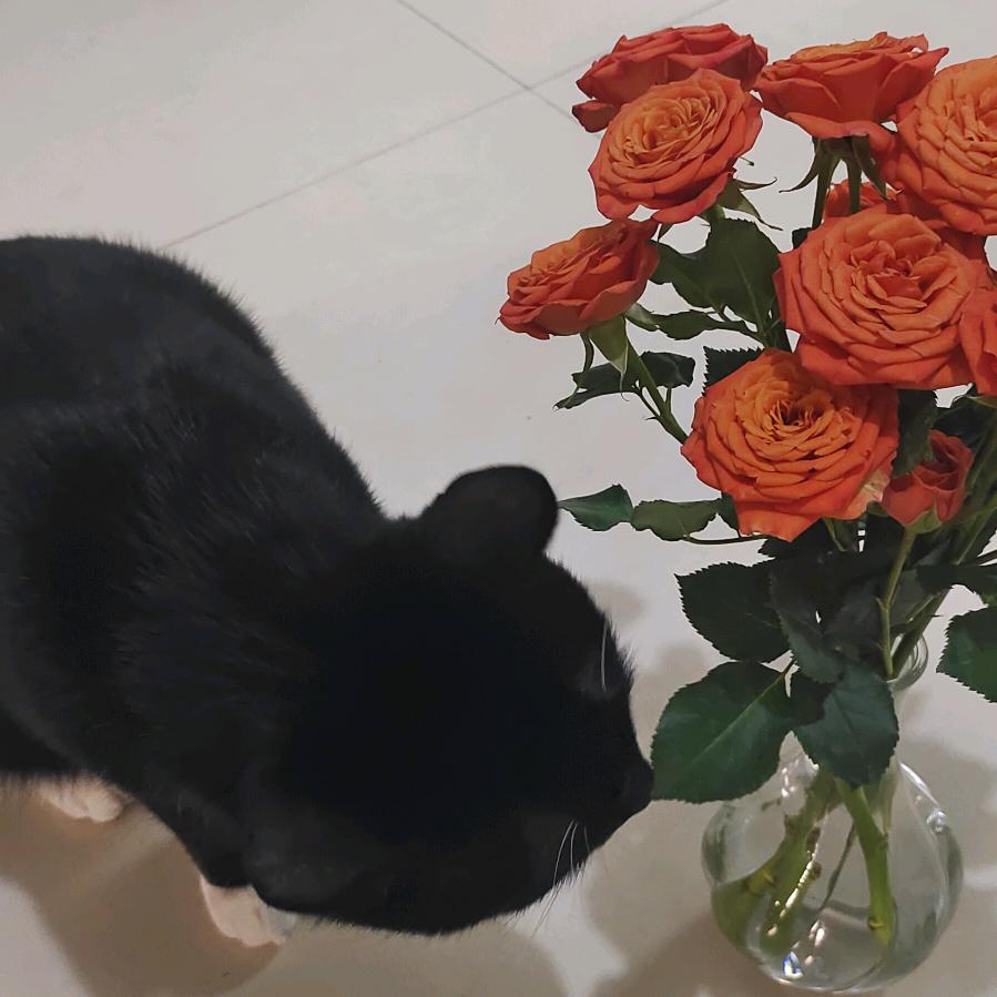 💞1314💞陶