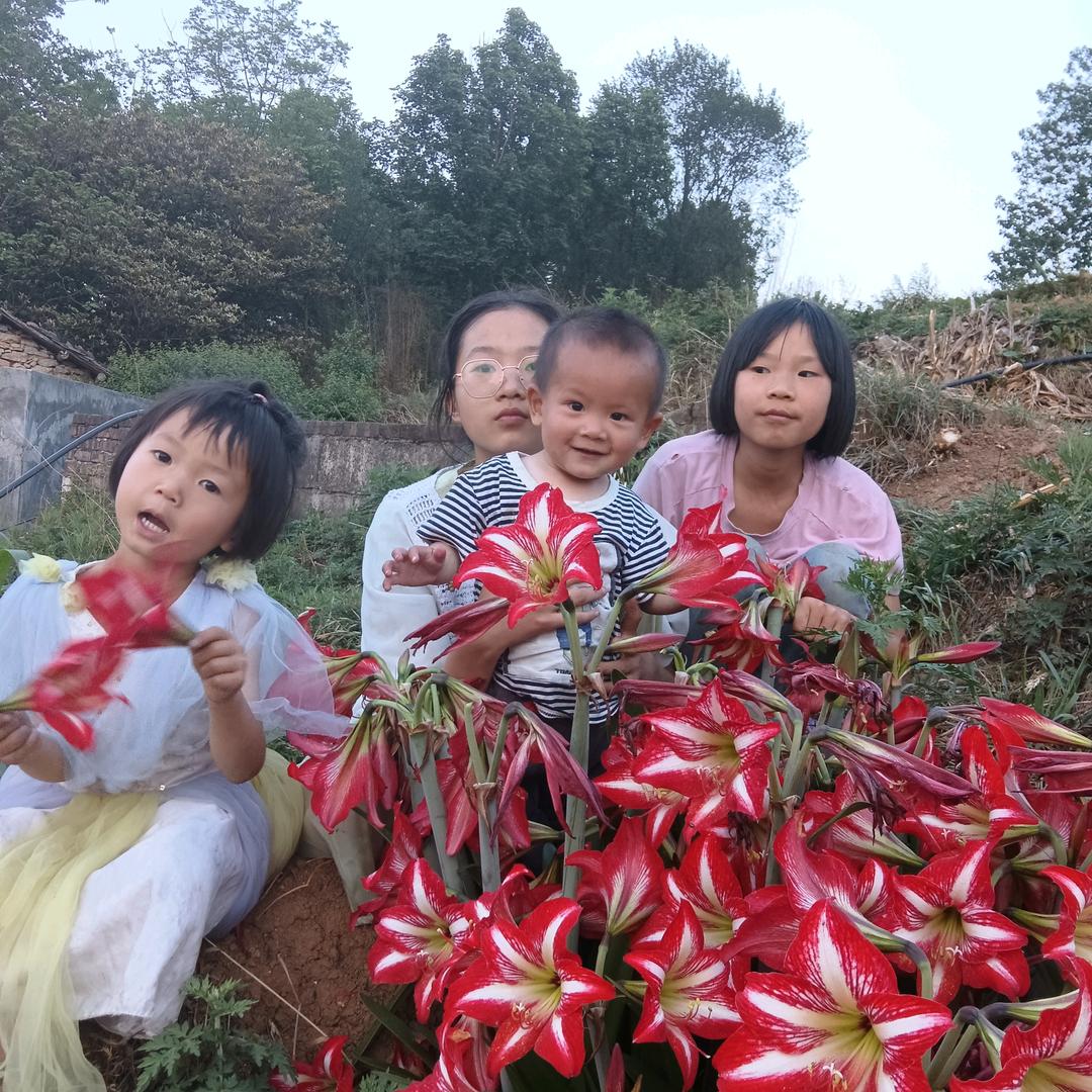 星姚映河
