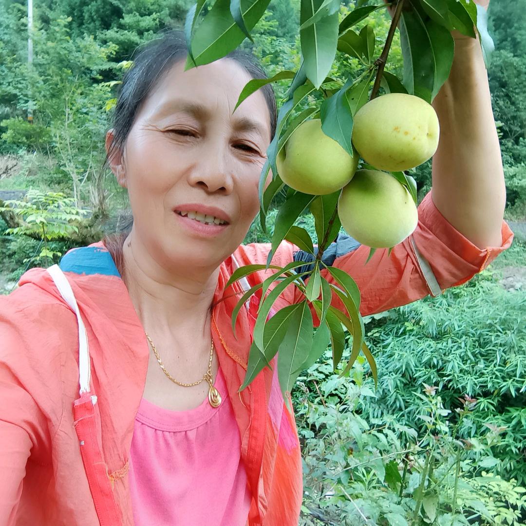 黄桃姐