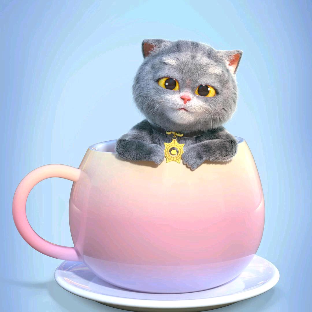 小禾哥哥·老葛&八九点