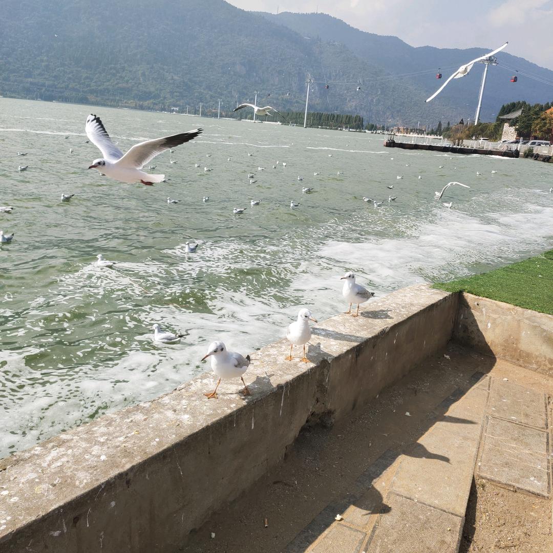 ᰔᩚ᭄心想💞ℛ事陈꧔ꦿᩚ࿐🕊