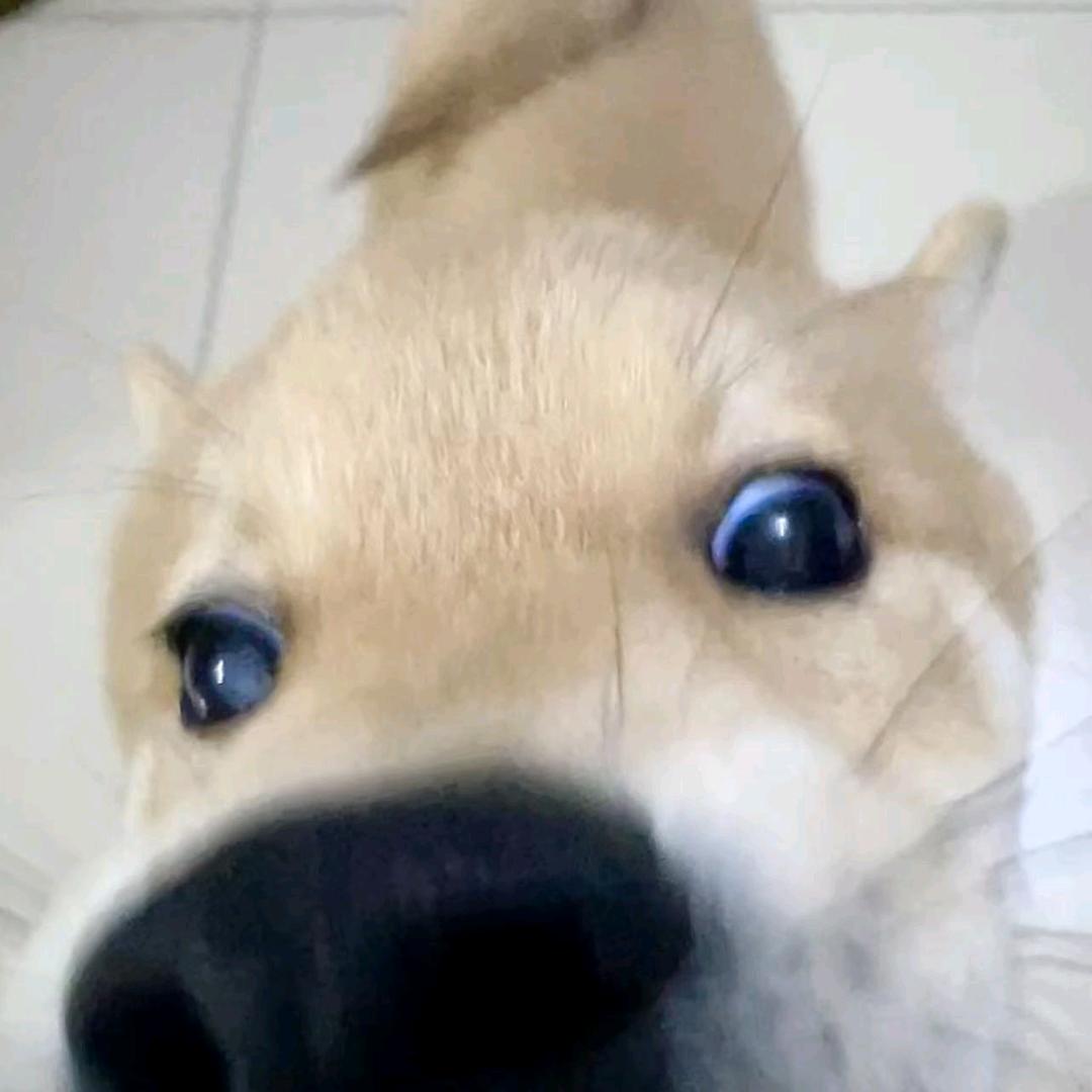 叙利亚战犯