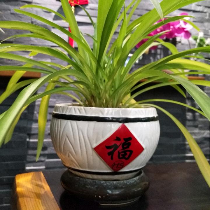 博森男装优选
