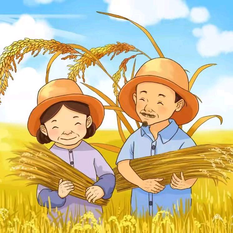 艾瑞田农资