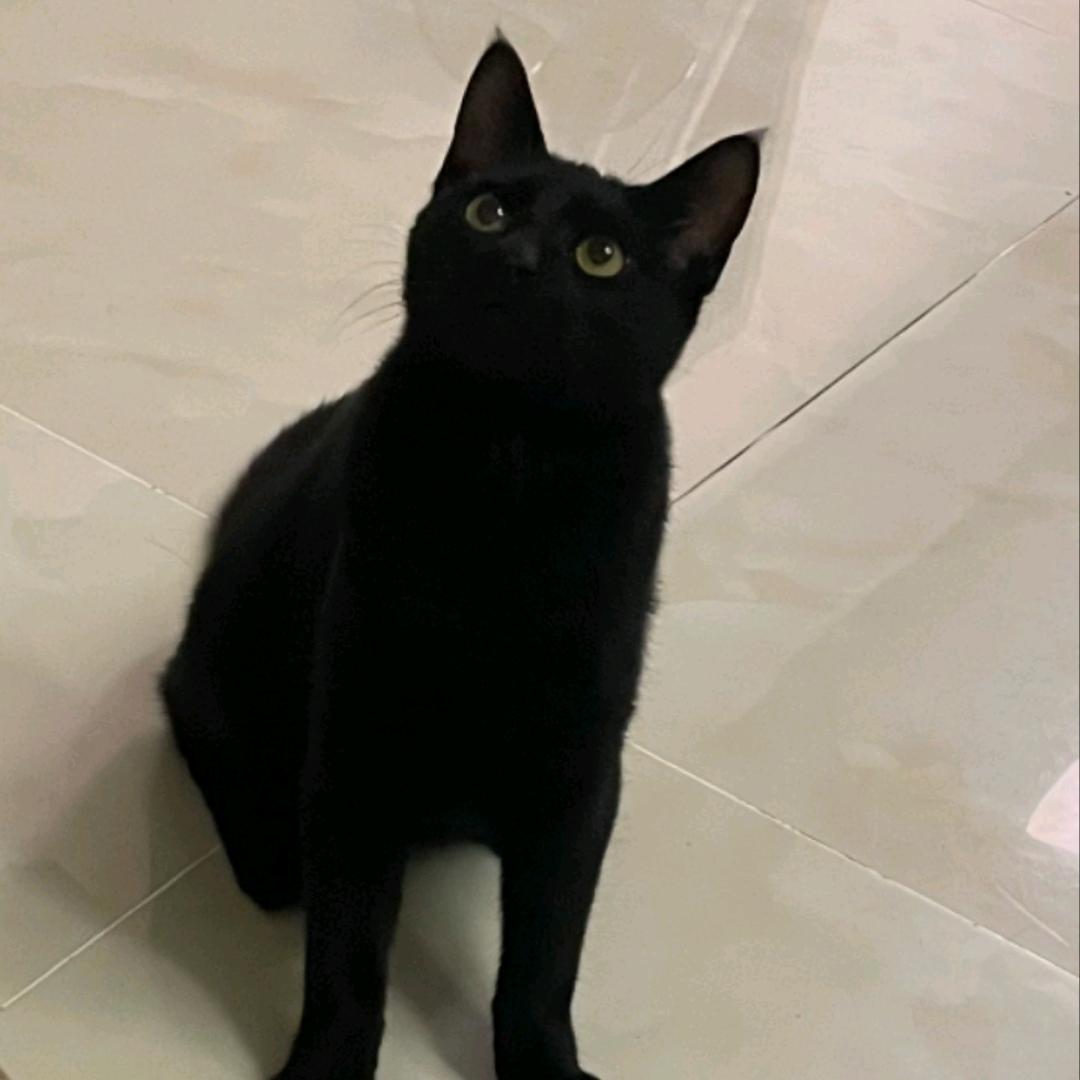 安静下来