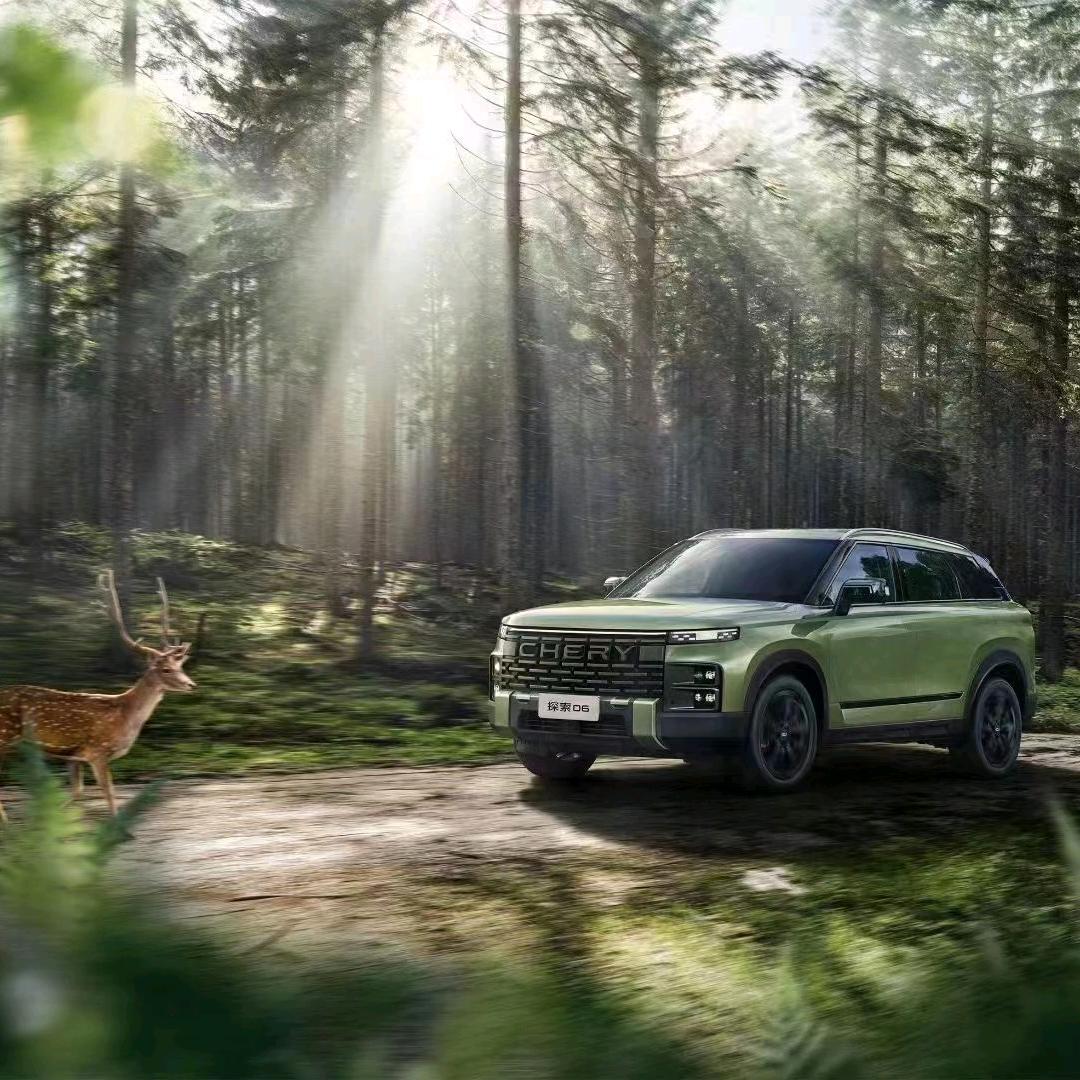 南通诚信奇瑞汽车小燕子