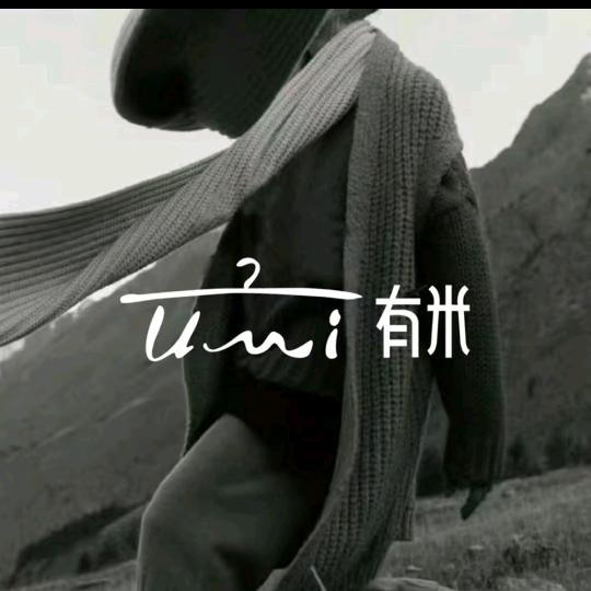 Umi轻奢女鞋