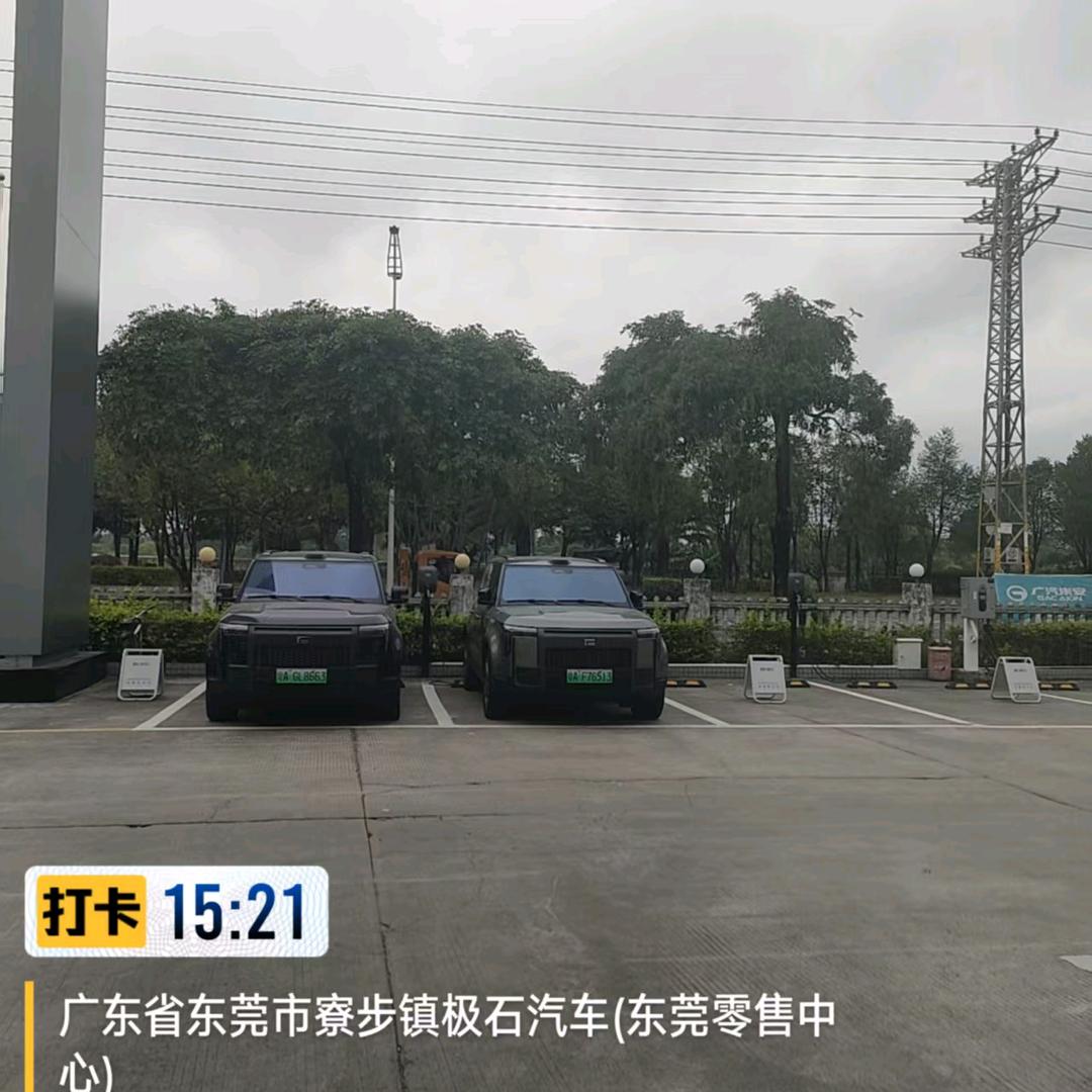 开心的玫瑰