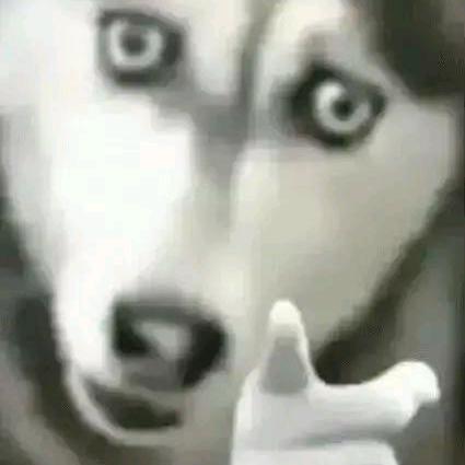 天问·九歌