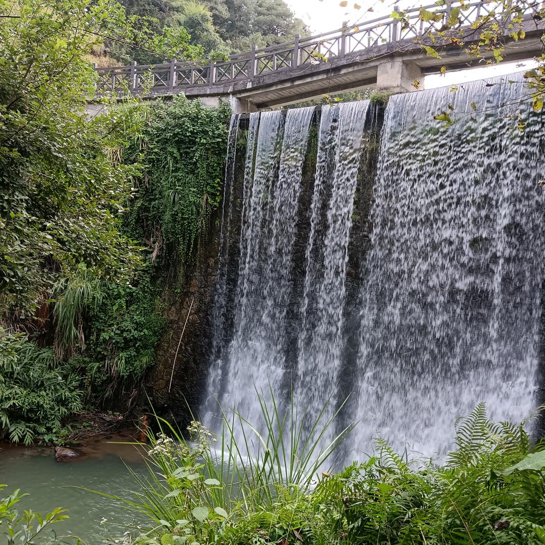 认真做事，真诚做人！