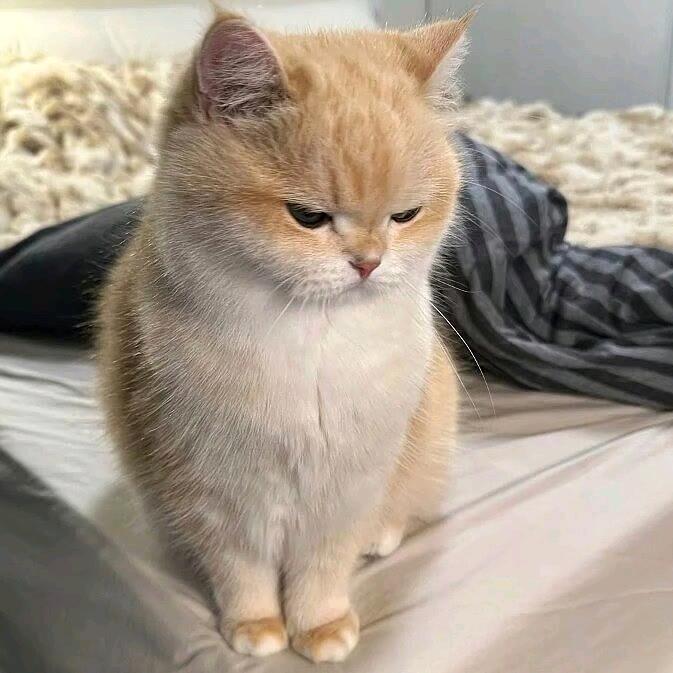 小小王