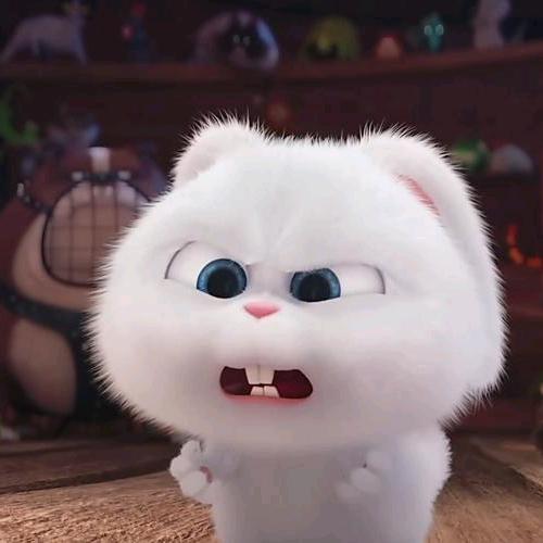 是小白白奶茶呦～