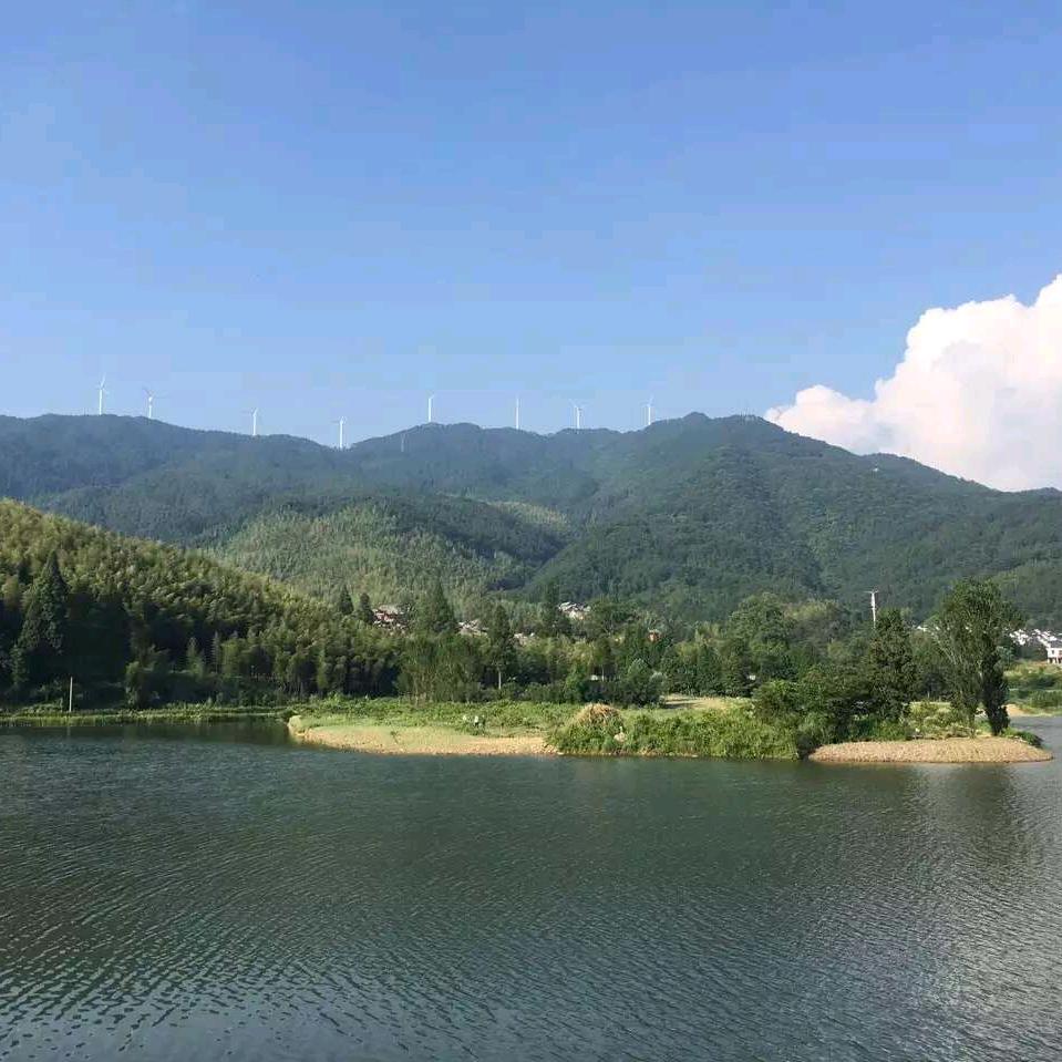 旋律