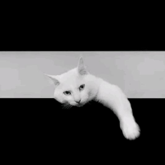人性视界¹
