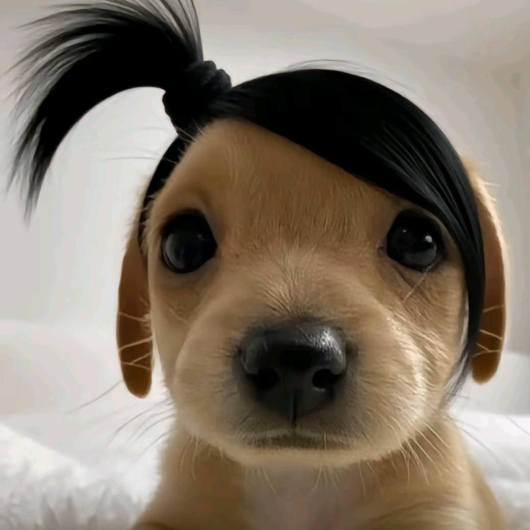 熙宁(见过十勤4⃣️次版)