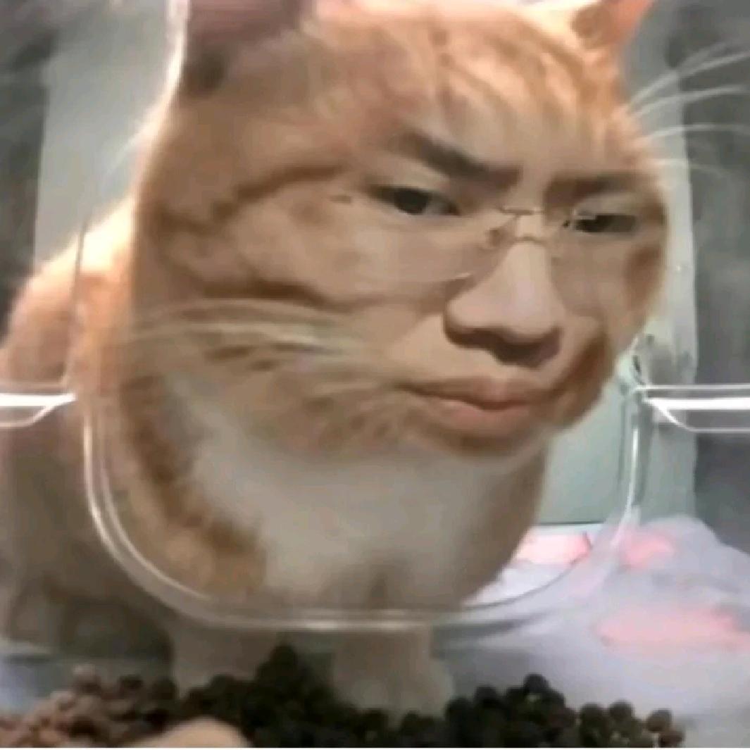 dduvsayijdry