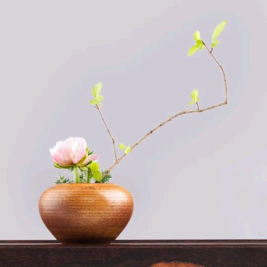 程大哥