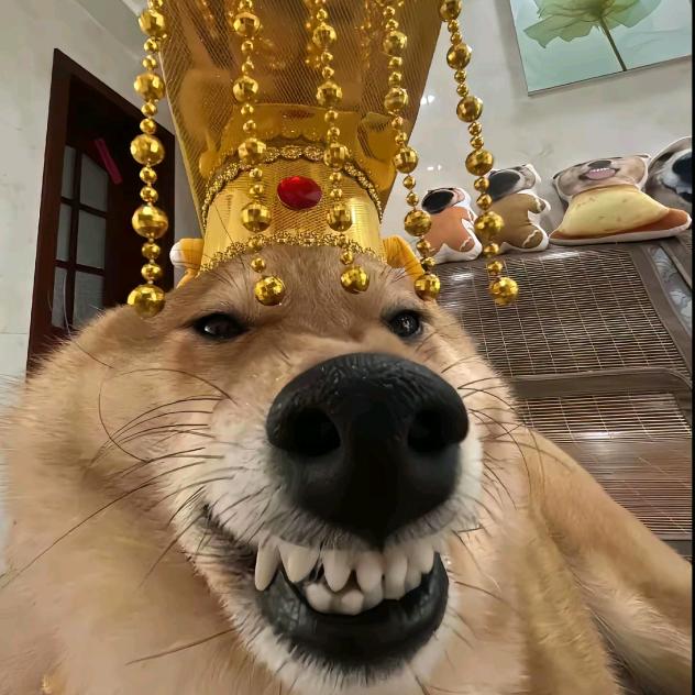 阿黑
