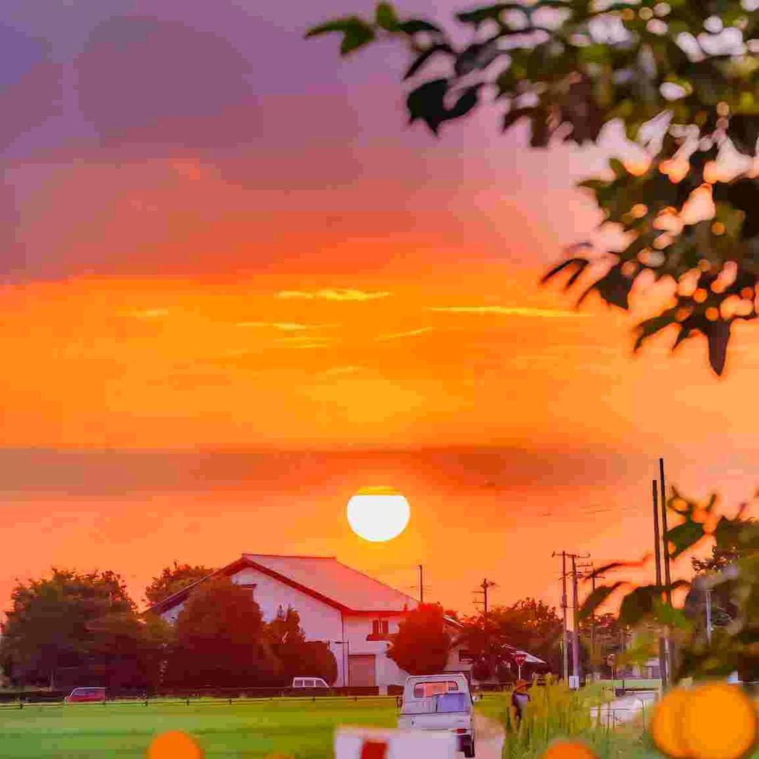 木兰の少女心❤️