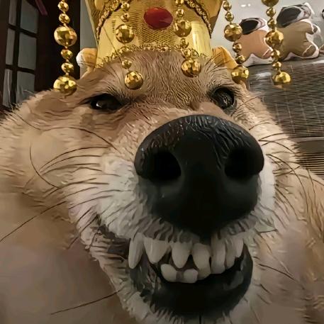 .　　　　　　　　　.