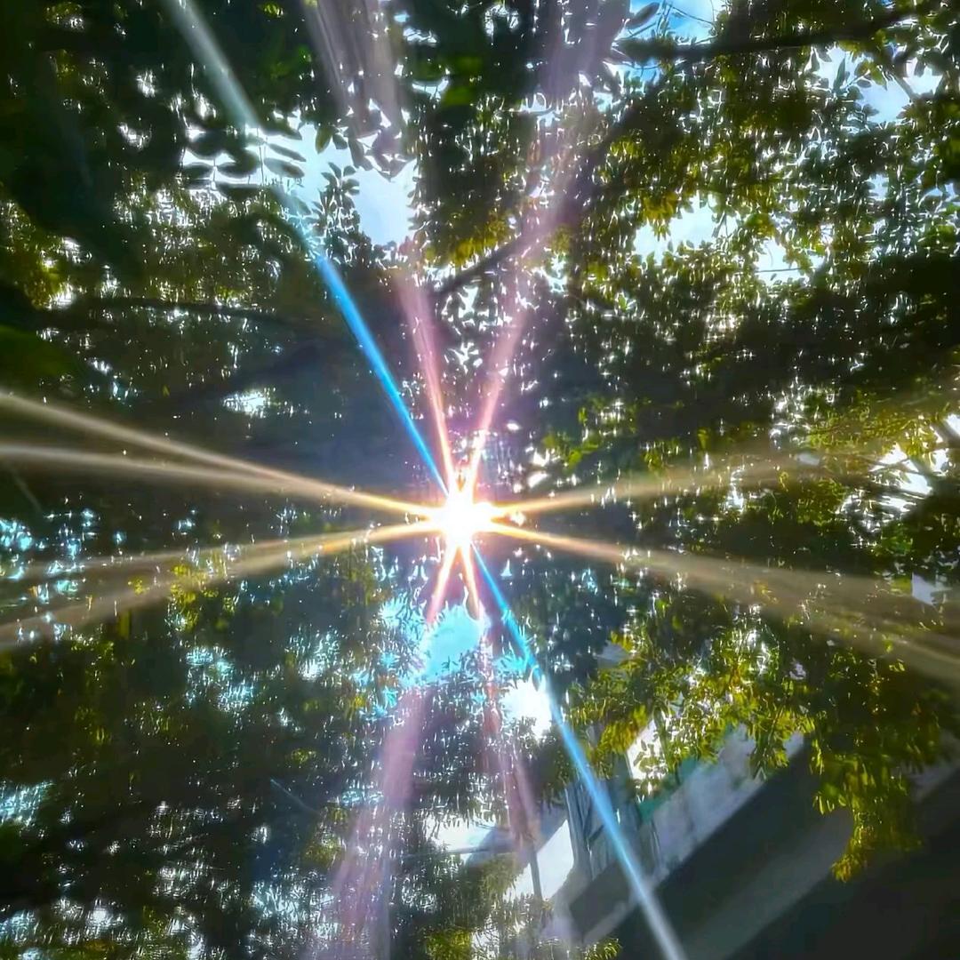 海边听ᵏᵃʳʳʸ