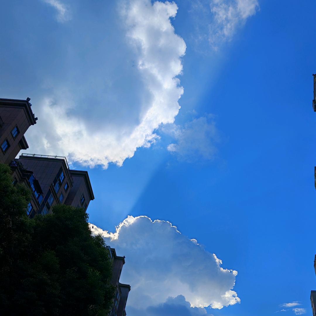 桃乌龙