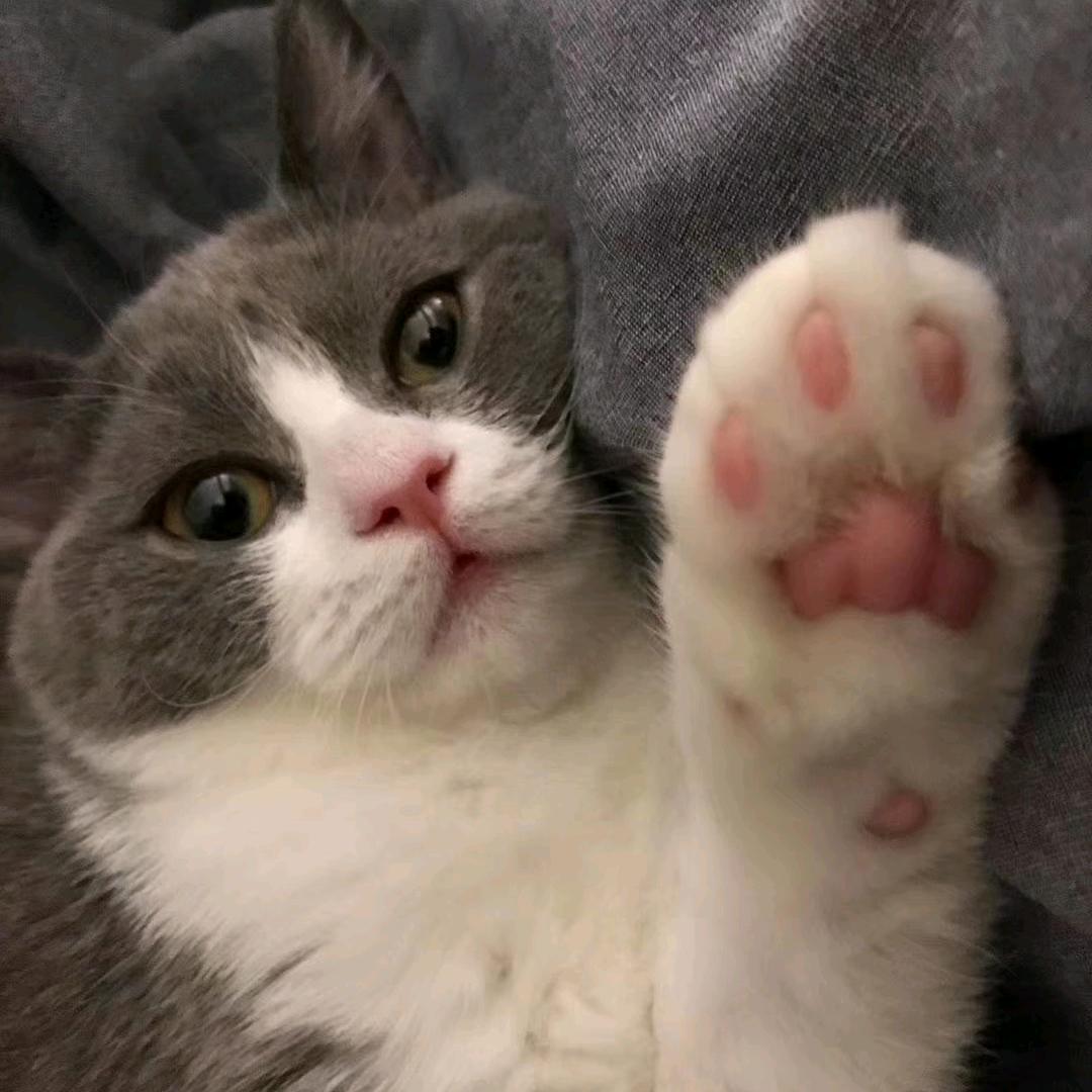 🥀⃟错把᭄敷衍ꦻ当承诺