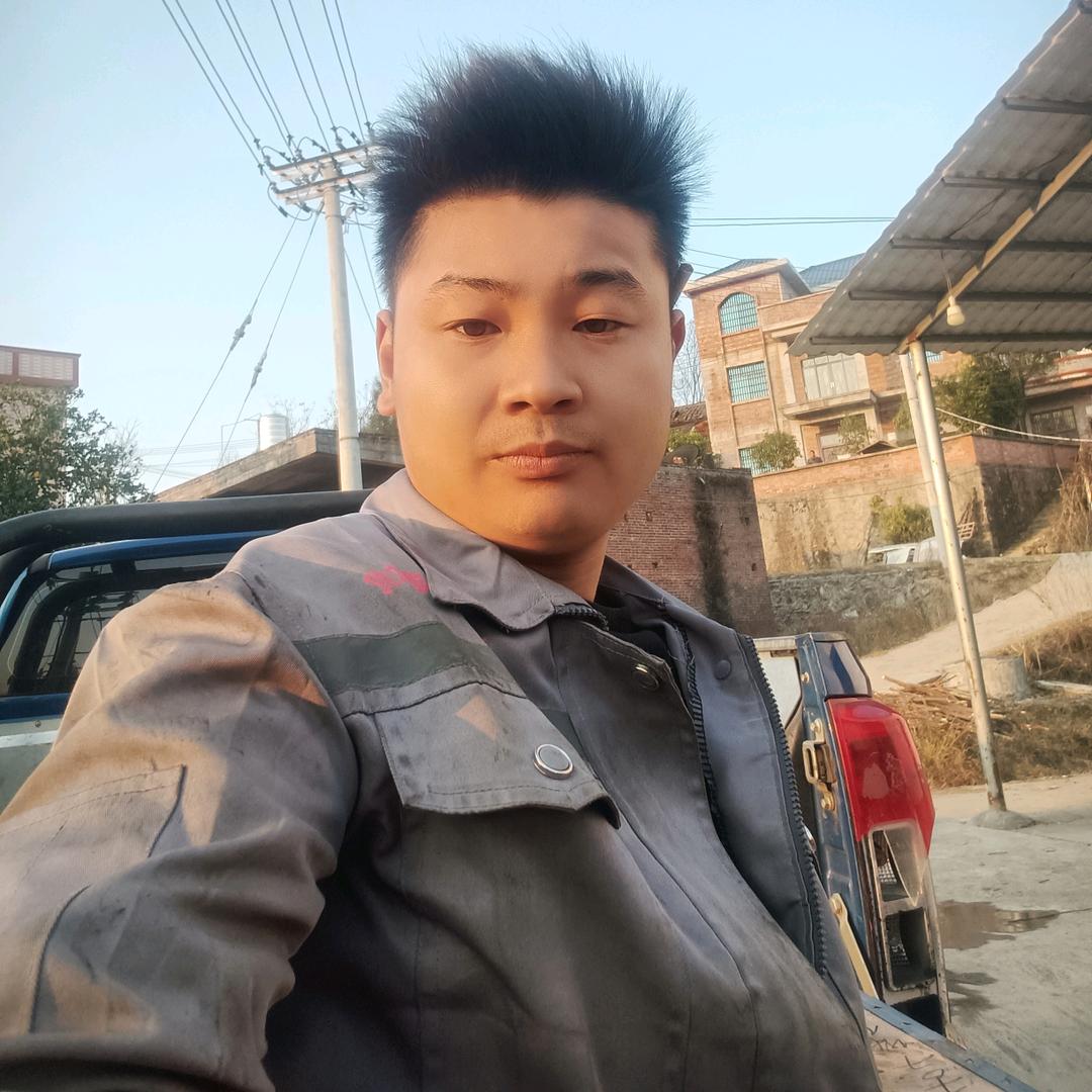 孤独的沙漠之狼