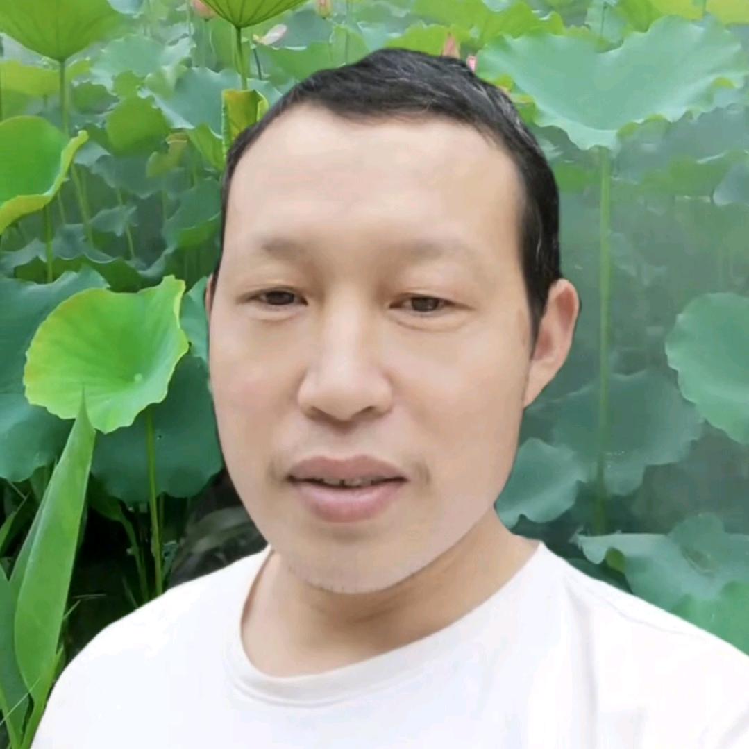 向阳零食