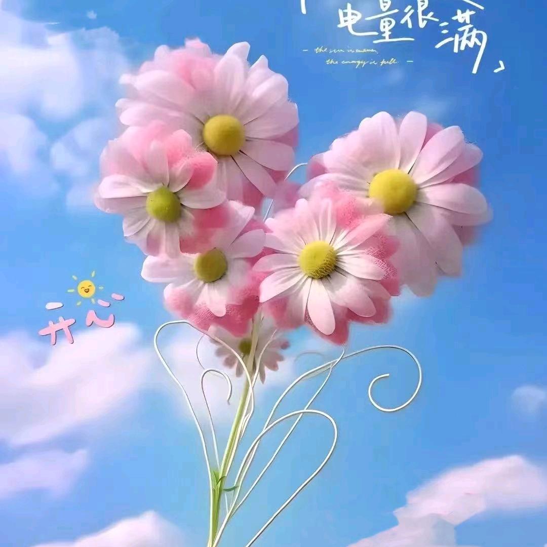 火龙果