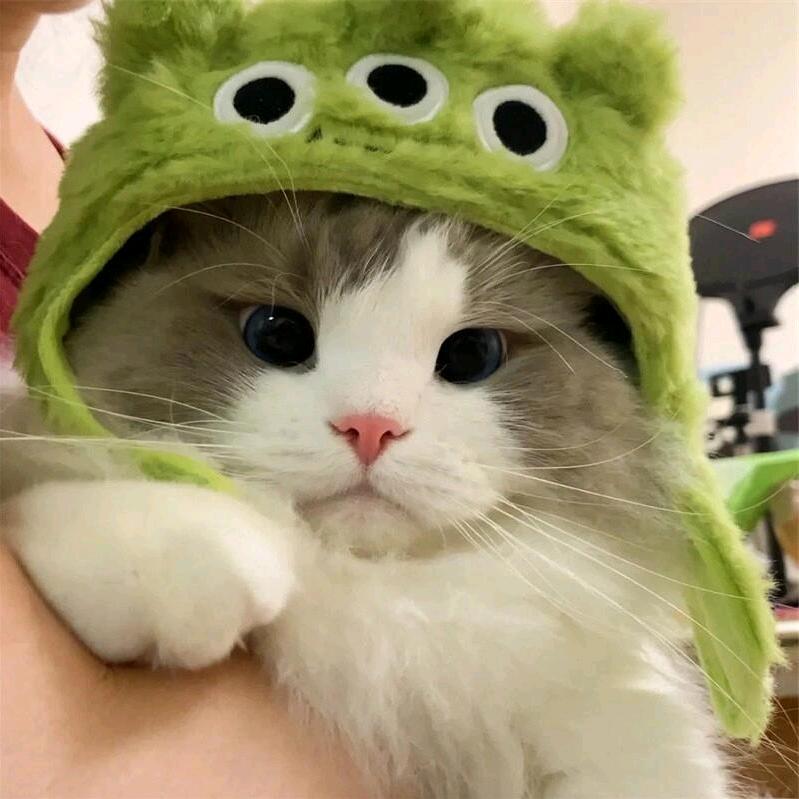 负一来了