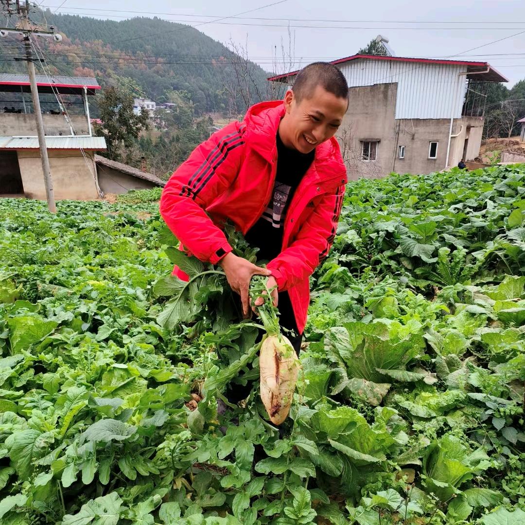 菜小伙 顾新