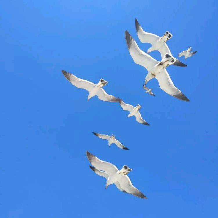 测绘员