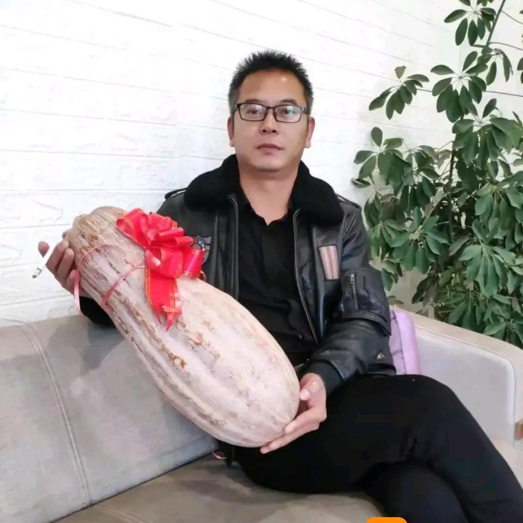 陕西-武夫子的南瓜和樱桃🍒
